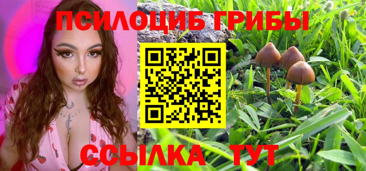 Галлюциногенные грибы Cubensis Воскресенск